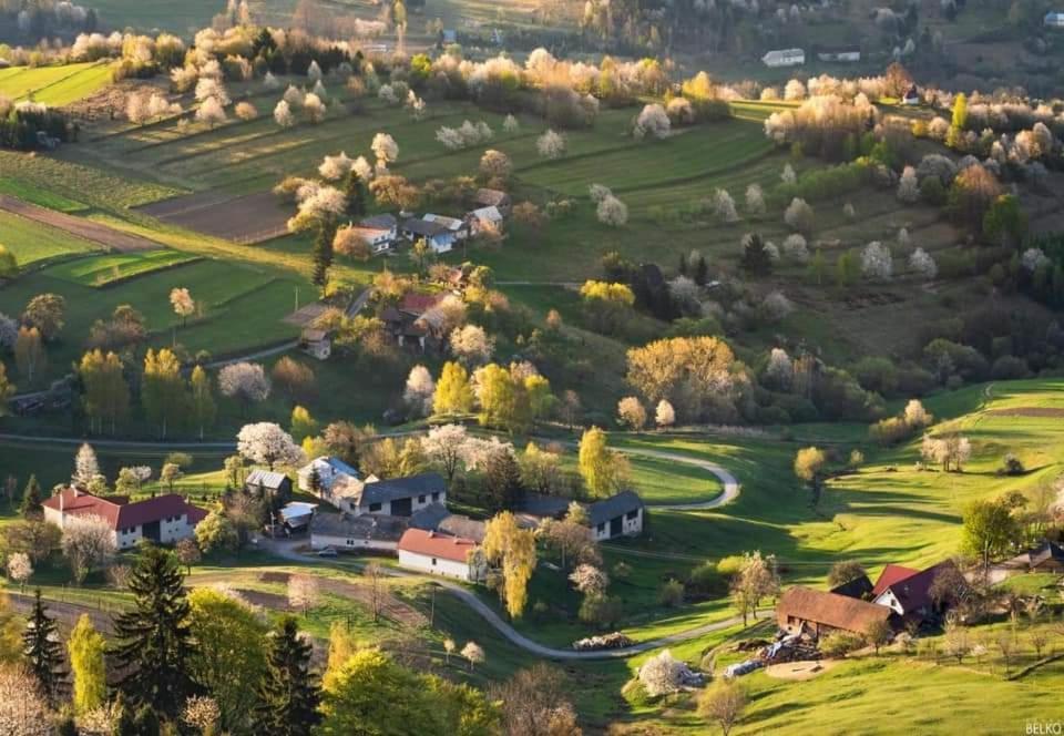 Penzion** Amalka Hriňová Exterior foto