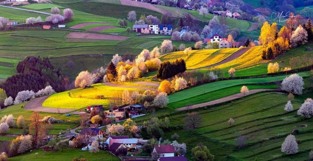 Penzion** Amalka Hriňová Exterior foto