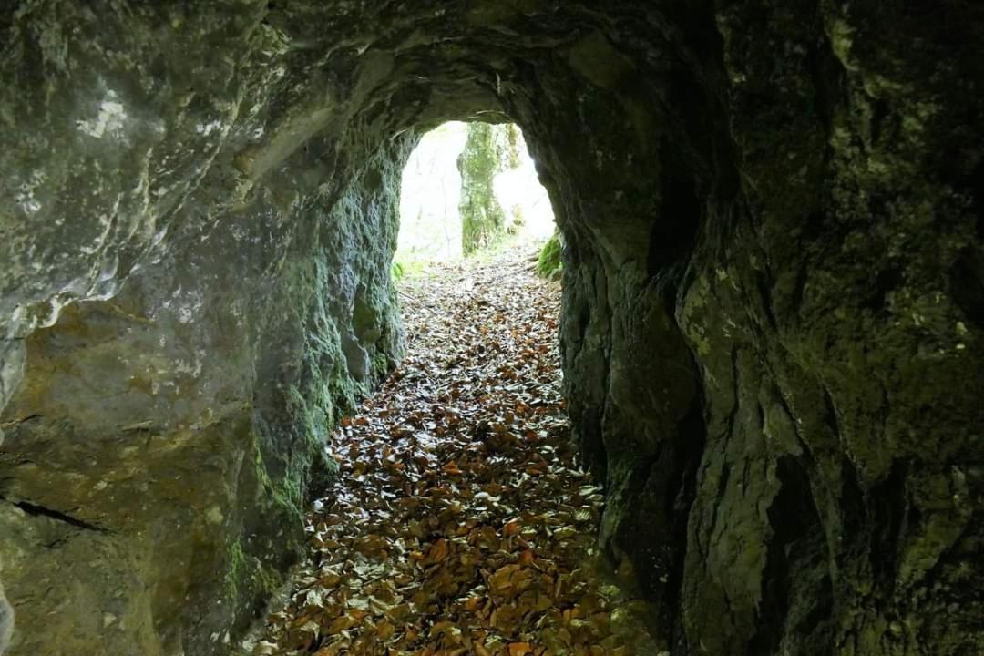 Penzion** Amalka Hriňová Exterior foto